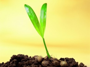 3590138_100743165128_2