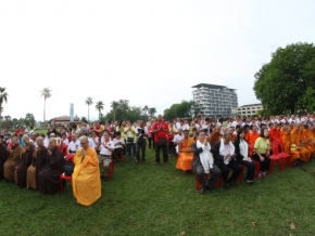 WhatsApp Image 2019-05-12 at 21.23.42